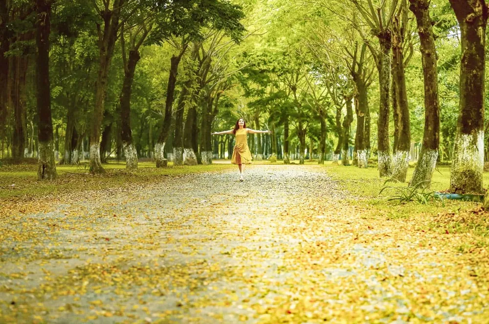 Mỗi ngày sống tại khu đô thị Ecopark là một ngày tận hưởng.