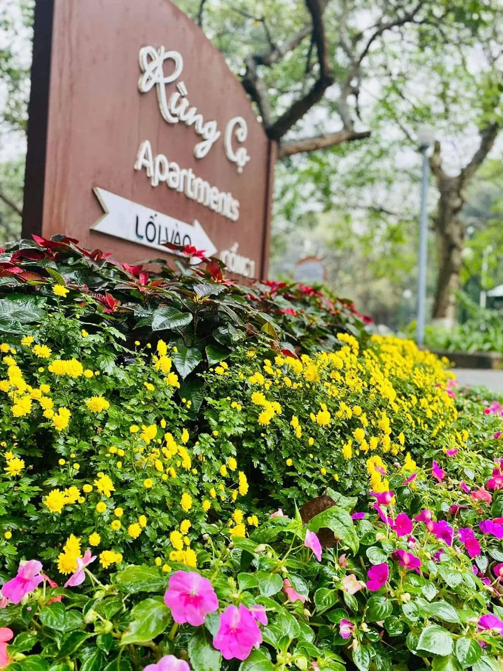 Phân khu Rừng Cọ được bàn giao từ đầu năm 2013.