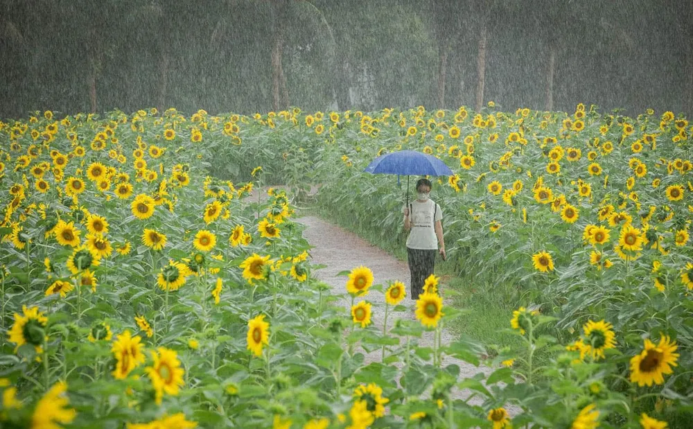 Thiên nhiên chính là lúc con người đang tự chữa lành những tổn thương bên trong, lấy lại tinh thần lạc quan nội tại, mang đến sức sống tươi mới cho những mối quan hệ xung quanh.