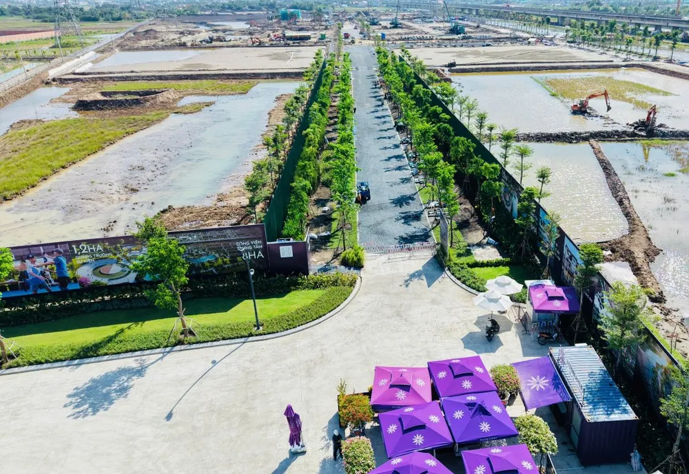 Hoàn thiện hạ tầng đường nội khu và cảnh quan cây xanh